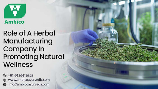 Role of A Herbal Manufacturing Company In Promoting Natural Wellness